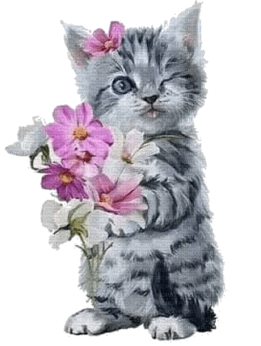 charmille _ animaux _ chat - 免费PNG