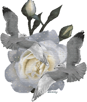 Blumen-Flowers-fleurs - Gratis geanimeerde GIF