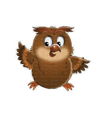 owl - Бесплатный анимированный гифка