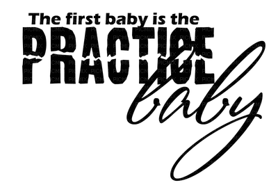 Kaz_Creations Logo Text The First Baby Is The Practice Baby - png gratuito