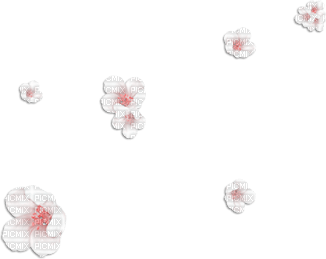 soave deco flowers scrap spring summer white - zadarmo png
