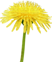Kaz_Creations Deco Flowers Dandelion Flower - ilmainen png