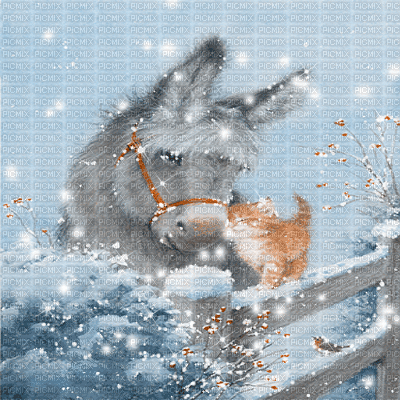 kikkapink background christmas winter animated - GIF เคลื่อนไหวฟรี