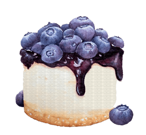 blueberry cake   Bb2 - Free PNG