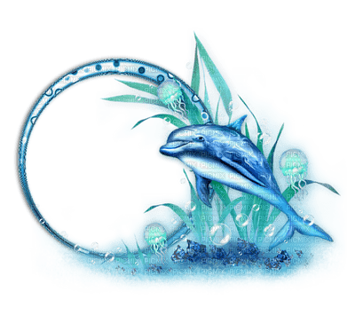 Kaz_Creations Deco Frames Frame Dolphin - 免费PNG