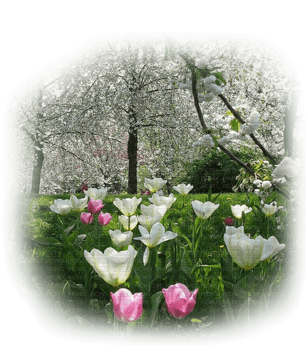 Spring Landscape - бесплатно png