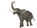 elephant - GIF animasi gratis
