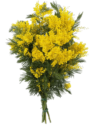 kwiaty - безплатен png