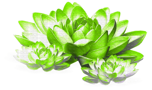 Flowers.Green.White - kostenlos png