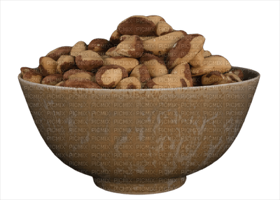 nuts bp - png gratuito