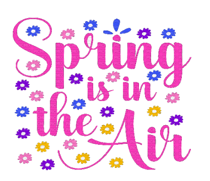 Text. Spring is in the Air. Leila - besplatni png