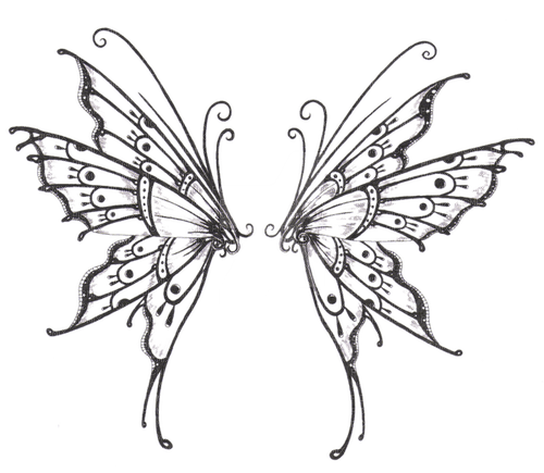 butterfly wings - nemokama png