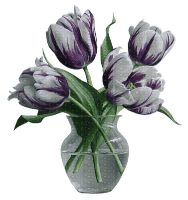 Kaz_Creations Flowers Deco Flower Colours Vase - nemokama png