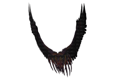 siivet asuste the wings accessories - png grátis