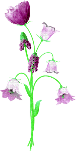 Flowers.Purple - gratis png