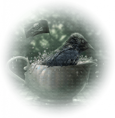 Raven in a tea pot - png ฟรี