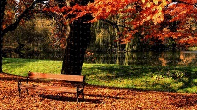 Kaz_Creations Backgrounds Background Autumn - zdarma png