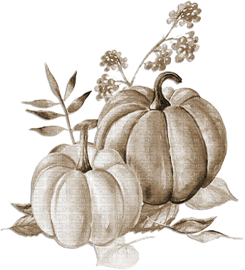soave deco autumn thanksgiving vintage - Free PNG