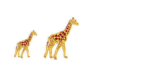 zebra - 無料のアニメーション GIF