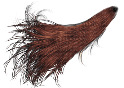 coloured hair bp - безплатен png
