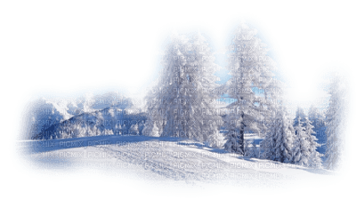 vinter-träd-minou52 - бесплатно png