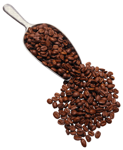 Coffee.Café.grains.Victoriabea - zdarma png