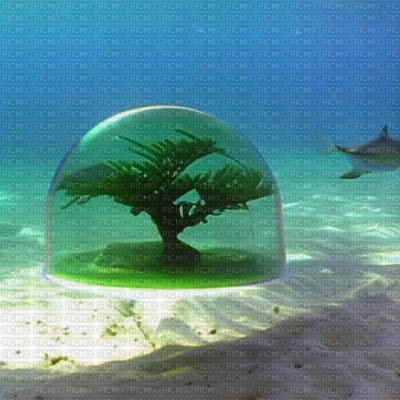 Underwater Tree Dome - 無料png