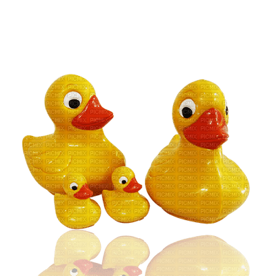 rubber ducky - png gratuito