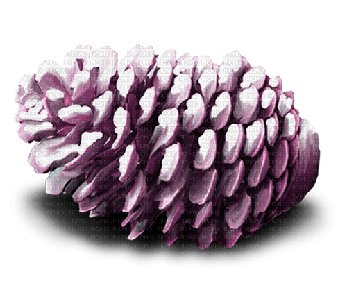 autumn pinecone Bb2 - ücretsiz png