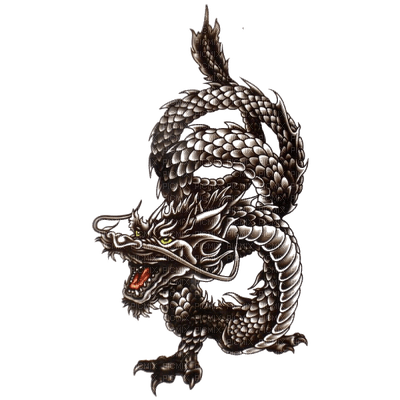 dragon noir - PNG gratuit