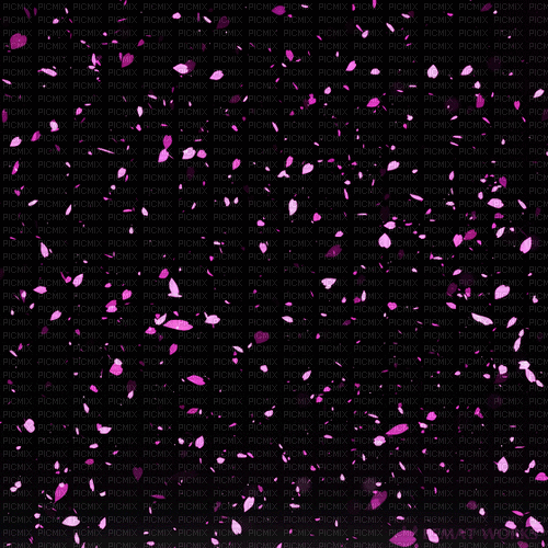 roses petals falling - 無料のアニメーション GIF