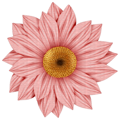 flower - besplatni png