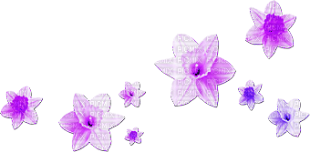 soave deco flowers scrap spring daffodils purple - kostenlos png