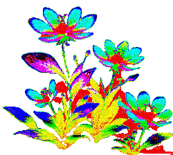 Fiori luminosi color - Darmowy animowany GIF