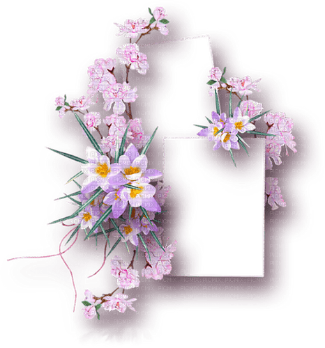 floral frame  Bb2 - 免费PNG