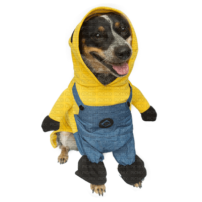 Kaz_Creations  Dog Pup Costume  🐶 - ilmainen png