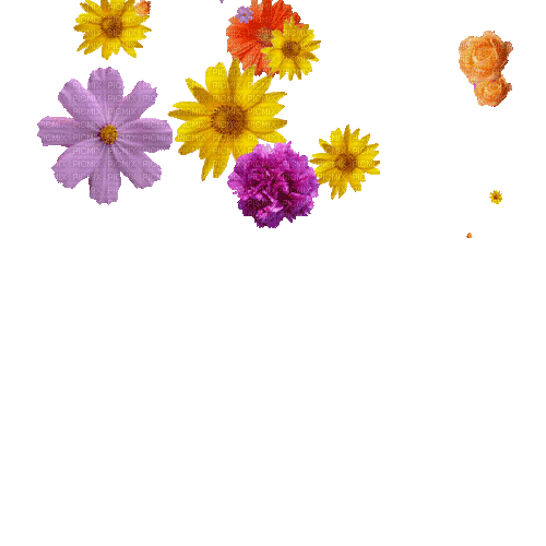 flowers falling - GIF animé gratuit