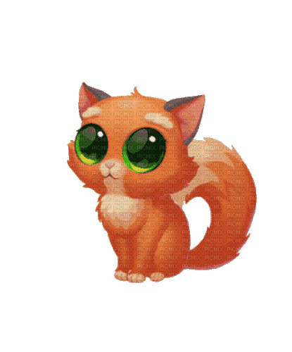 Cat - 免费动画 GIF