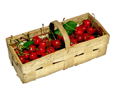fruit cherries bp - gratis png