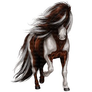 Horse - бесплатно png