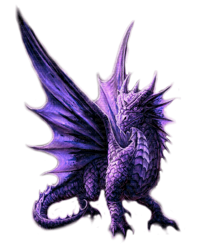 dragon  by nataliplus - 無料png