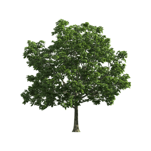 kikkapink deco scrap tree - δωρεάν png