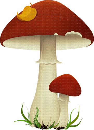 red mushrooms Bb2 - zadarmo png