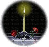 candle and roses in orb - GIF animado grátis
