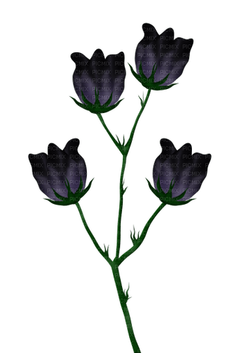 kikkapink deco scrap gothic flowers - безплатен png