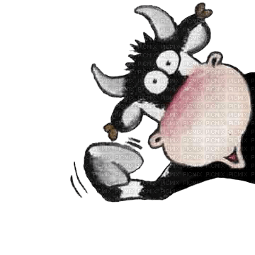 cow - zdarma png