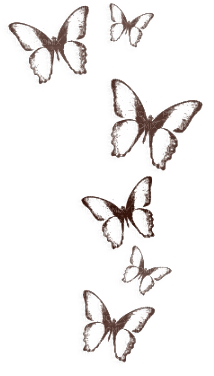 Butterflies Deco - png gratis