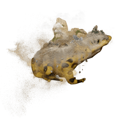 earth elemental frog with gold dust - nemokama png