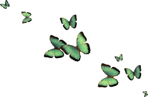 autumn deco kikkapink png green butterflies - png ฟรี