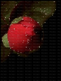 rose gif fond laurachan - Bezmaksas animēts GIF